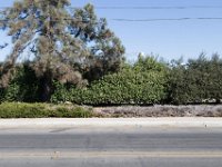 Santa Paula Main Street-47