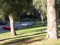 Elysian Park - area 4-10