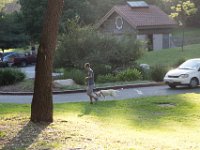 Elysian Park - area 4-100