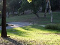 Elysian Park - area 4-102