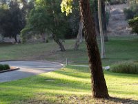 Elysian Park - area 4-106