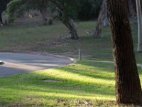 Elysian Park - area 4-107