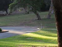 Elysian Park - area 4-108