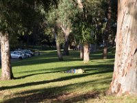 Elysian Park - area 4-11