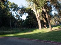 Elysian Park - area 4-112