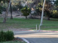 Elysian Park - area 4-113