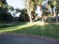 Elysian Park - area 4-114