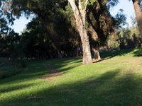 Elysian Park - area 4-115