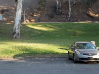 Elysian Park - area 4-117