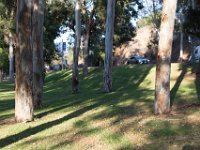 Elysian Park - area 4-12