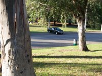 Elysian Park - area 4