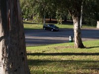 Elysian Park - area 4-15