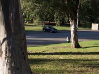 Elysian Park - area 4-16