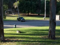 Elysian Park - area 4-17