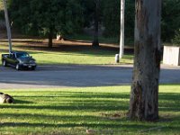 Elysian Park - area 4-18