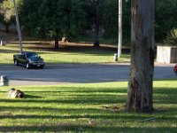 Elysian Park - area 4-19