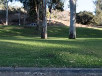 Elysian Park - area 4-2