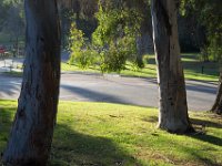 Elysian Park - area 4-20