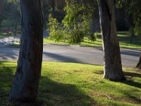 Elysian Park - area 4-21