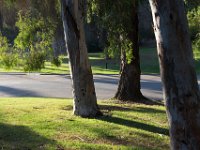 Elysian Park - area 4-22