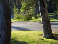 Elysian Park - area 4-23