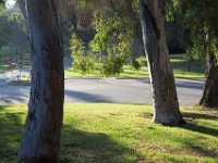 Elysian Park - area 4-24