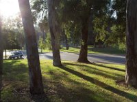 Elysian Park - area 4-25