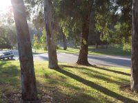 Elysian Park - area 4-26