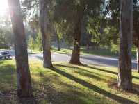 Elysian Park - area 4-27