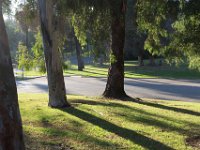 Elysian Park - area 4-28