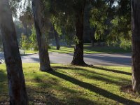 Elysian Park - area 4-29