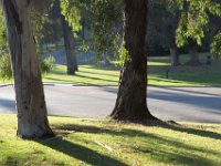 Elysian Park - area 4-30