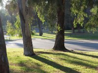 Elysian Park - area 4-31