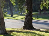 Elysian Park - area 4-32