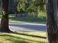 Elysian Park - area 4-33