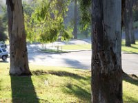 Elysian Park - area 4-34