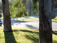 Elysian Park - area 4-35