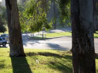 Elysian Park - area 4-36