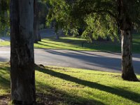 Elysian Park - area 4-37