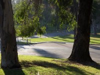 Elysian Park - area 4-38