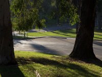 Elysian Park - area 4-39