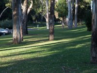 Elysian Park - area 4-40