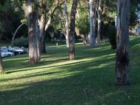 Elysian Park - area 4-41