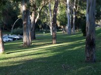 Elysian Park - area 4-42