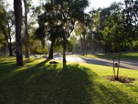 Elysian Park - area 4-43