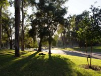 Elysian Park - area 4-44