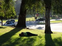 Elysian Park - area 4-49