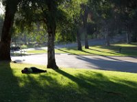 Elysian Park - area 4-50