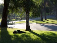 Elysian Park - area 4-51