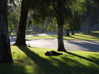 Elysian Park - area 4-52